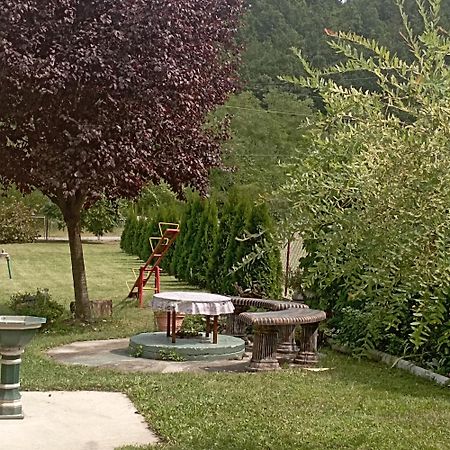 Kuca Za Odmor Zicanka Kraljevo Ngoại thất bức ảnh