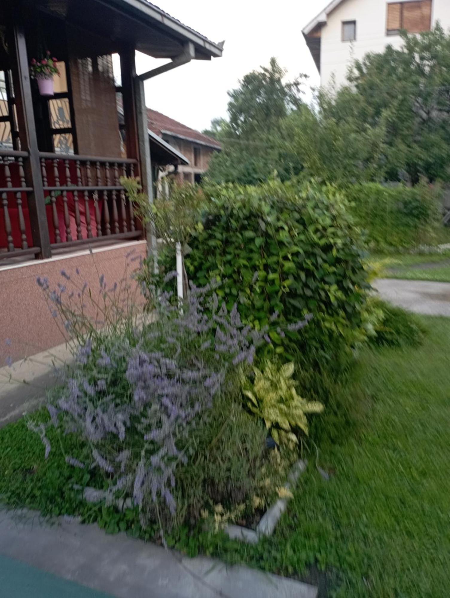 Kuca Za Odmor Zicanka Kraljevo Ngoại thất bức ảnh
