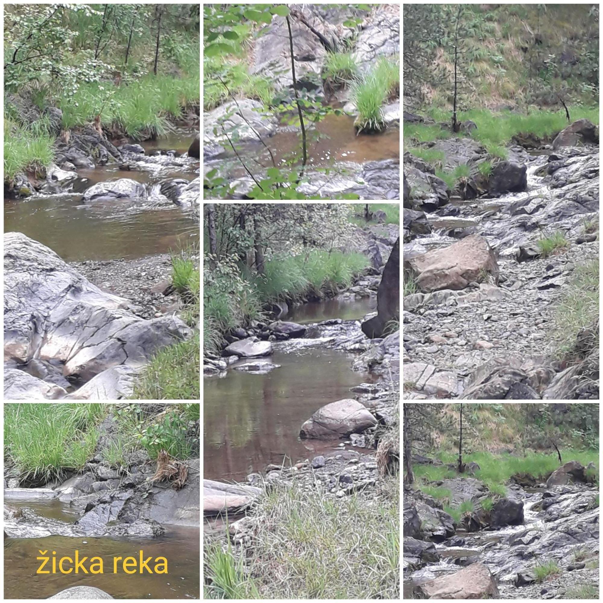Kuca Za Odmor Zicanka Kraljevo Ngoại thất bức ảnh